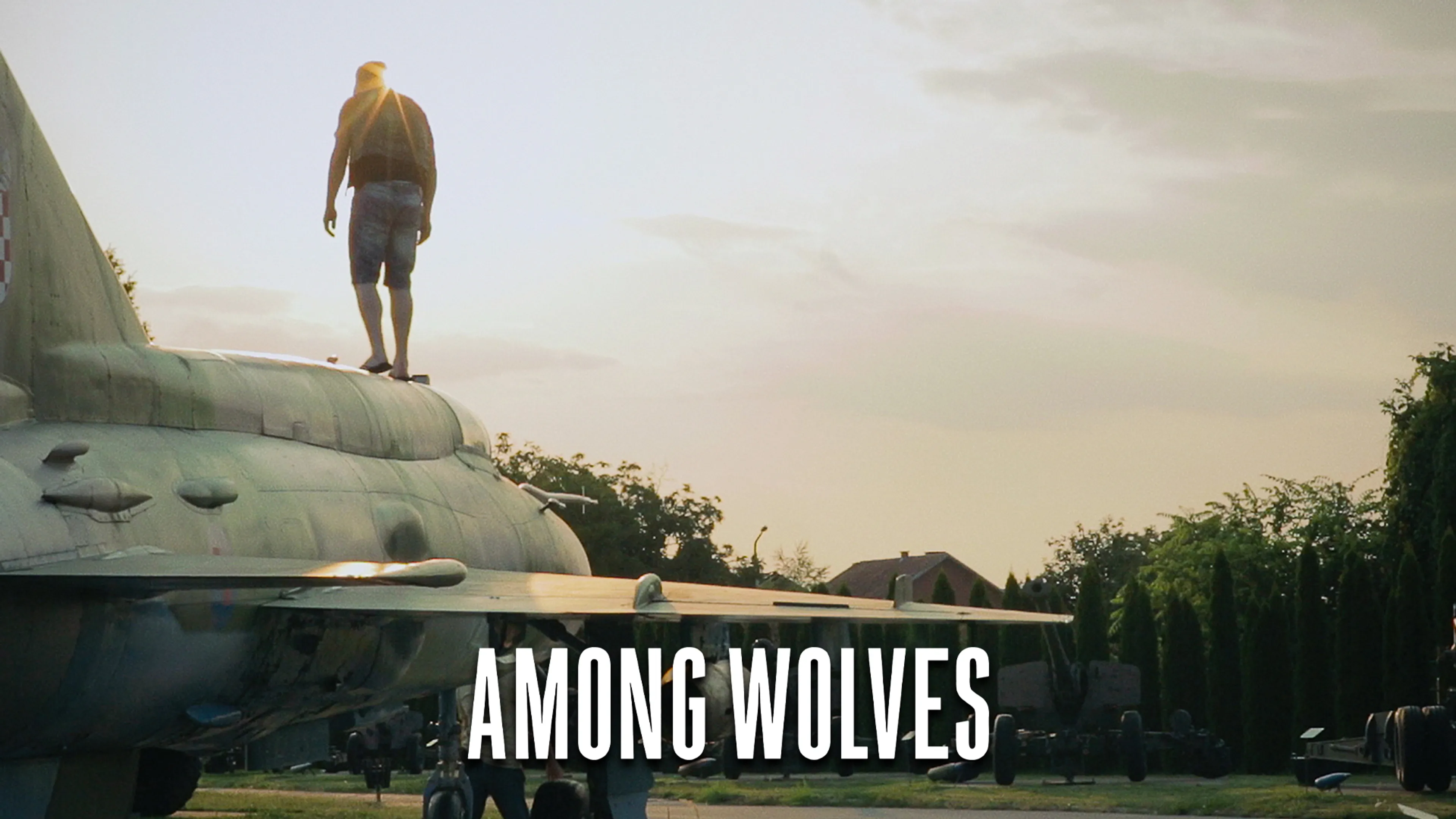 Among Wolves poster